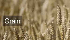 grain